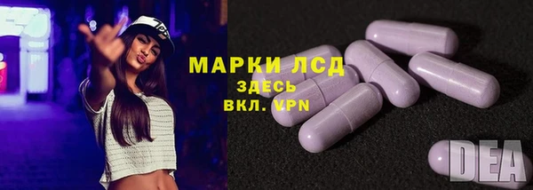 стаф Верея