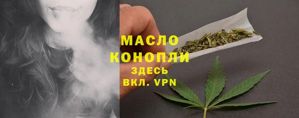 стаф Верея