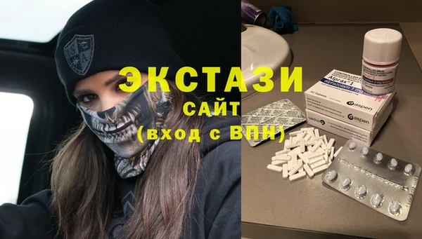 стаф Верея
