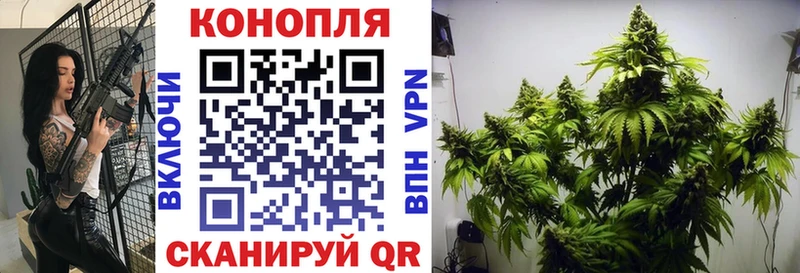 Шишки марихуана семена Новоржев